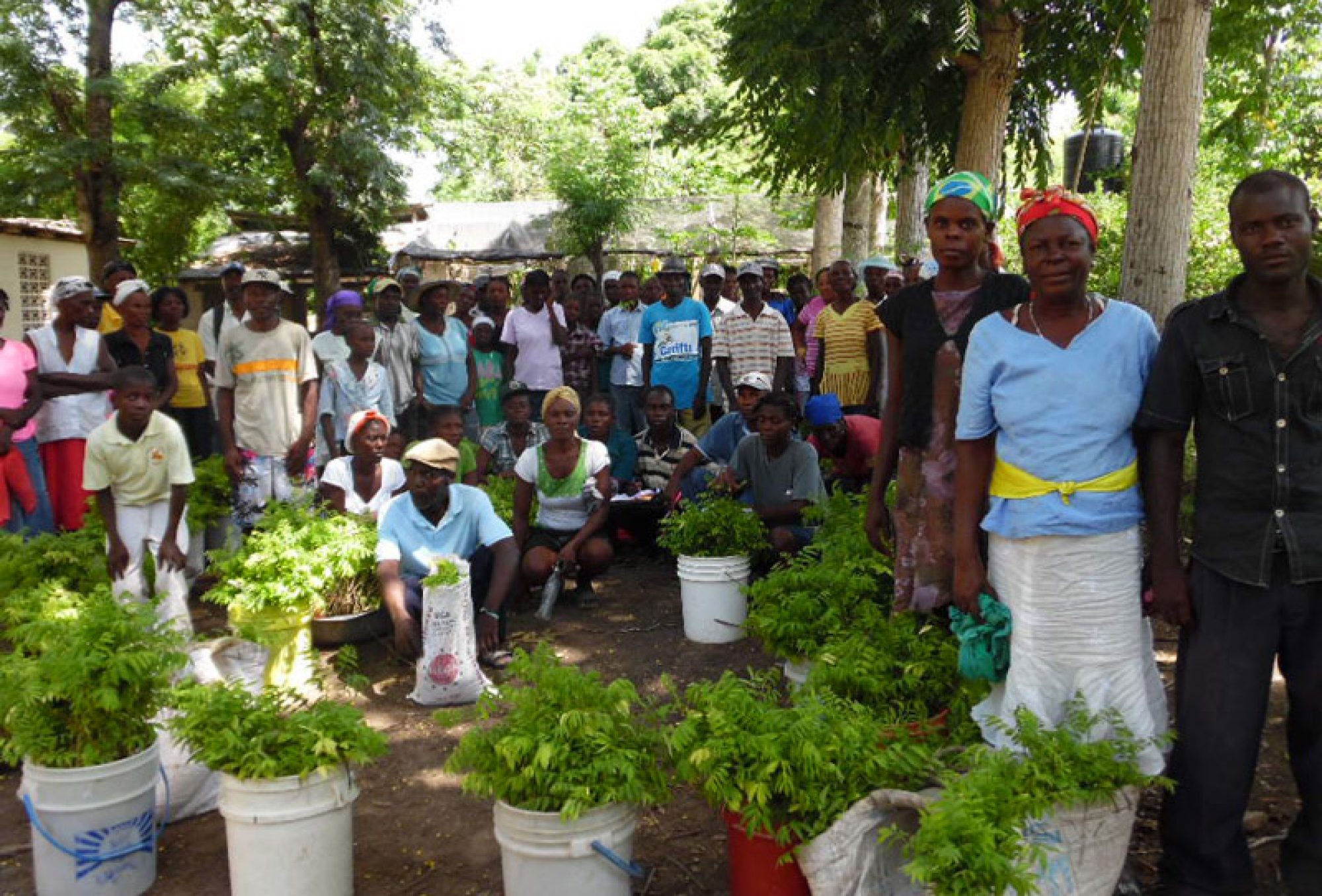 Haiti-Hilfe Falkenstein e. V.