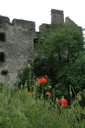 Ruine in Burkheim am Kaiserstuhl